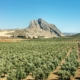 Peña de los enamorados en Antequera